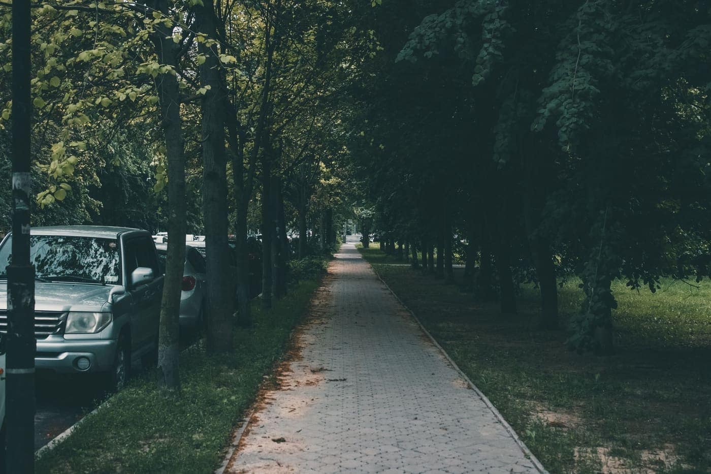 Greenway Consults Takoma Park — view from the area