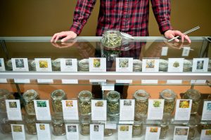 Medical marijuana for sale in display cases at dispensary.