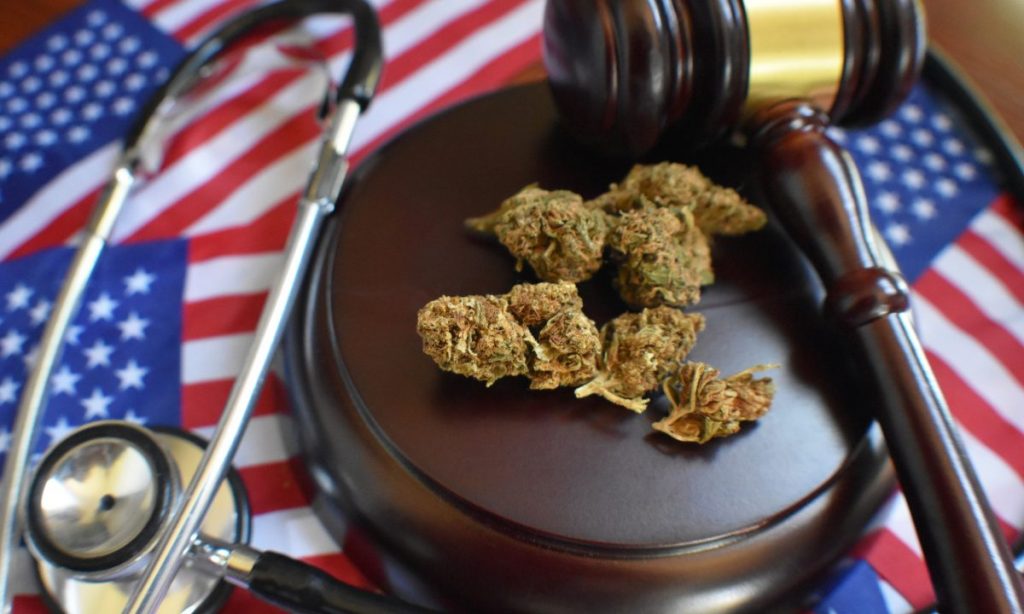 Understanding-the-Regulations-of-the-Maryland-Medical-Cannabis-Program